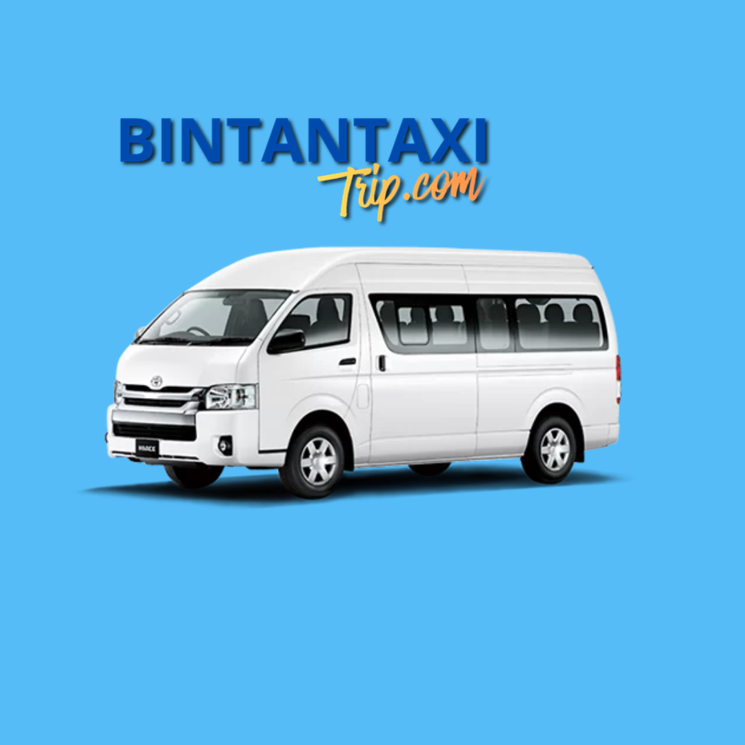 MINI VAN 14 SEATER - 4 HOURS